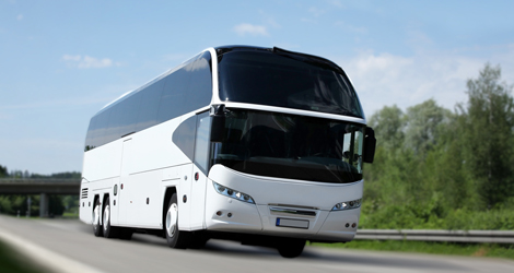 Limo Bus & Party Bus Rental in Kingston