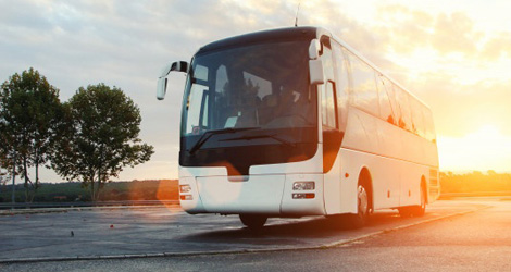 Affordable Limo Bus/ Party Bus Rental Services In Kingsville